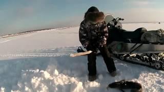 Рыбалка.Витёк и Налим(07.02.2017)