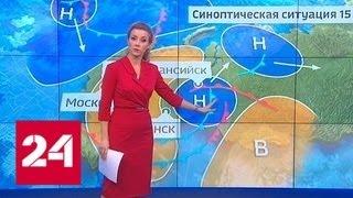 "Погода 24": после метели в Западной Сибири ожидается похолодание - Россия 24