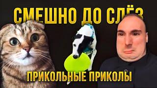 ПРИКОЛЫ ЛУЧШИЕ | смешная подборка приколов 2020