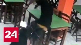 В бразильском кафе грабители ранили посетителя - Россия 24