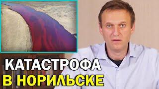 В Норильске экологическая катастрофа. В реки и почву попало 20к тонн дизтоплива | Алексей Навальный