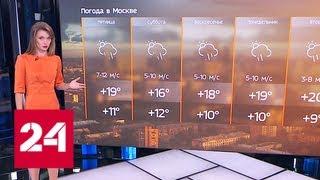 Синоптики рассказали, когда в Москву вернется тепло - Россия 24