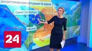 "Погода 24": синоптики прогнозируют прощальные метели - Россия 24