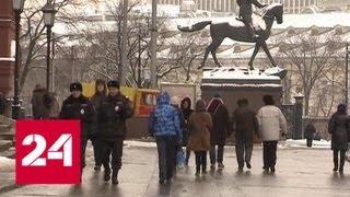 Новогодняя неделя "подарит" маю два выходных дня - Россия 24