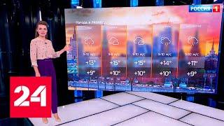 Тепло и сухо: погода порадует москвичей - Россия 24