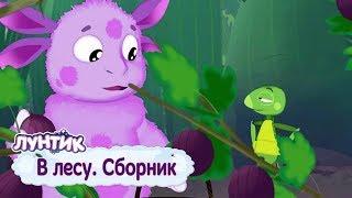 В лесу - Лунтик - Сборник мультфильмов 2019