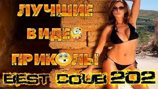 Лучшие видео приколы Best Coub Compilation | Смешные Моменты |Куб|Коуб| №202 #TiDiRTVLIVE