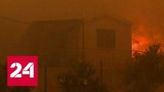 Лесные пожары в Греции больше не угрожают населенным пунктам - Россия 24