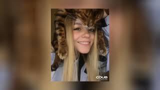 TOP COUB, ПРИКОЛЫ С ЖИВОТНЫМИ - ХОРОШАЯ ПОПЫТКА КОТЕЙКА #1