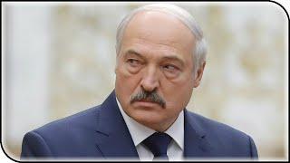 Большинство не признаёт Лукашенко союзником России, но почему Россия так к нему лояльна?