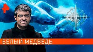 Белый медведь. НИИ РЕН ТВ (11.09.2019).