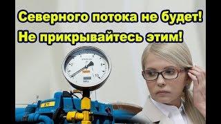 Мир не допустит строительства "Северного потока–2", - Тимошенко