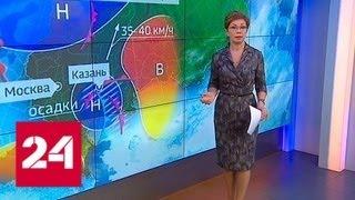 "Погода 24": синоптики предвещают наступление настоящей весны - Россия 24