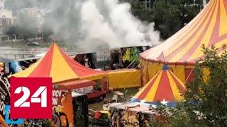 Конвейер смерти: жители Подмосковья требуют закрыть передвижной цирк - Россия 24