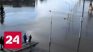 Сразу в нескольких районах Тамбовской области из-за паводка введен режим ЧС - Россия 24