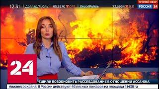 "Погода 24": в России площадь природных пожаров превышает 40 тысяч гектаров - Россия 24