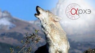 Ясон Бадридзе: "Человек в стае волков"