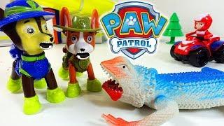 ЩЕНЯЧИЙ ПАТРУЛЬ в джунглях! Новая Серия Мультфильм для детей PAW Patrol