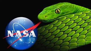 NASA Busted Again - Photo Expert Reveals - Files Exposed - Research Flat Earth